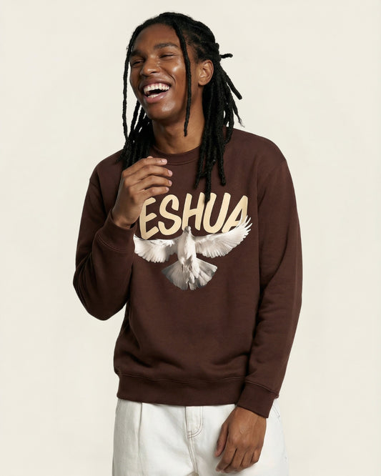 Unisex John 3:17 Faded Premium Cotton T-Shirt