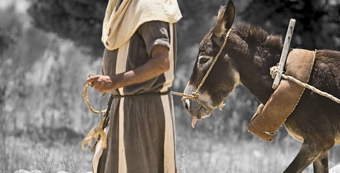 Jesus in modest robe walking with a donkey