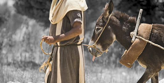 Jesus in modest robe walking with a donkey