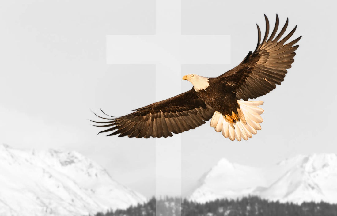 Biblical Eagle