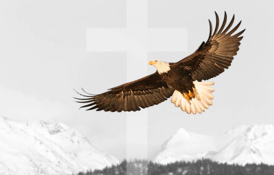 Biblical Eagle