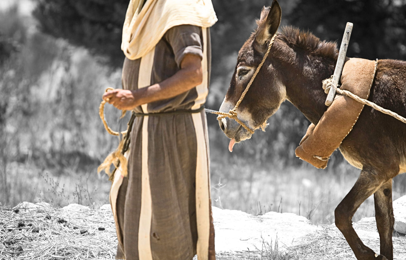Jesus in modest robe walking with a donkey