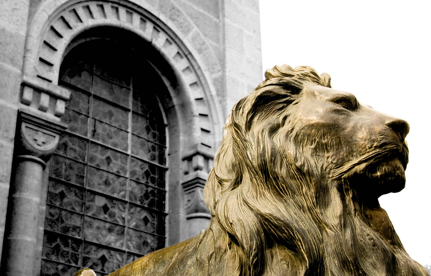 The Lion of Judah: Biblical Meaning, Revelation Symbolism, and Historical Legacy
