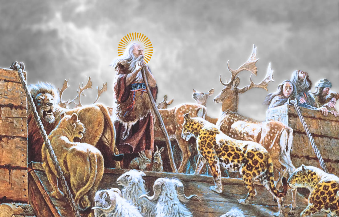 Biblical animals and Saint Noah